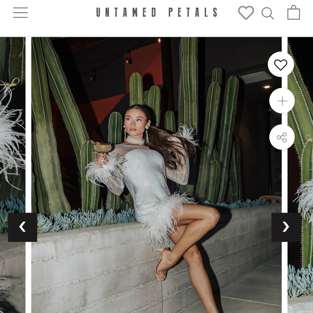 UNTAMED PETALS Disco Sheer Dress